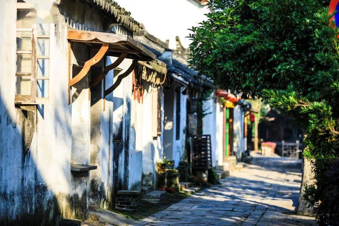 加油!小学生的寒假生活